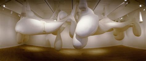 Directions: Ernesto Neto - Hirshhorn Museum and Sculpture Garden ...