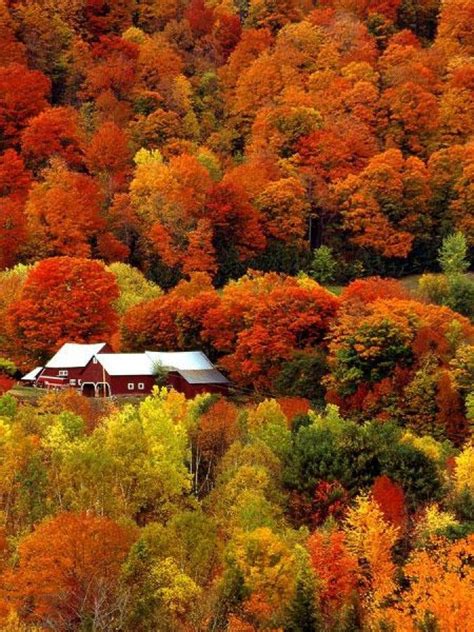 A fall day on a Vermont countryside. Photographer: Kevin Armstrong ...