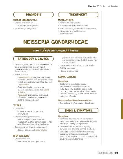 Neisseria meningitidis: Video, Causes, & Meaning | Osmosis