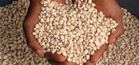 12 Surprising Health Benefits Of Cowpeas