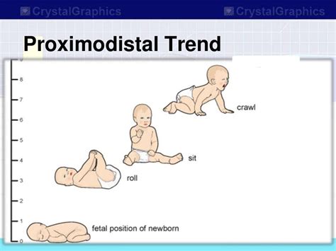 Basic concepts in child and adolescent development1