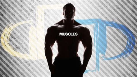 Muscle Man Wallpapers - Wallpaper Cave