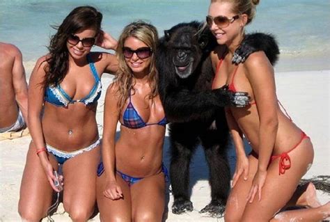 24 Hilarious Beach Fails Caught on Camera!