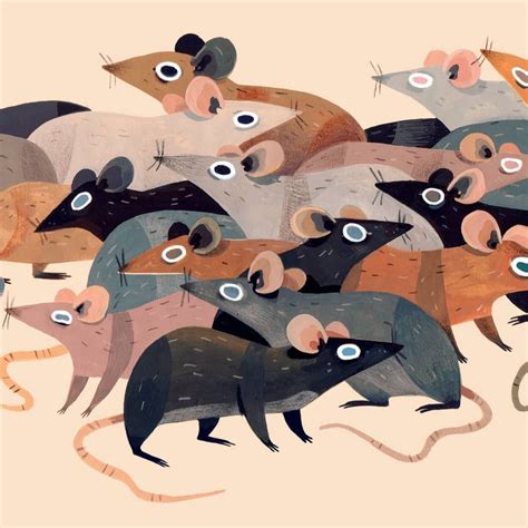 Stacey Thomas on Instagram: “Giant pile of rats? Giant pile of rats. . . . #rats #mouse # ...