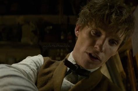 Addicted to Eddie: Wonderful video essay about Newt Scamander the hero ...