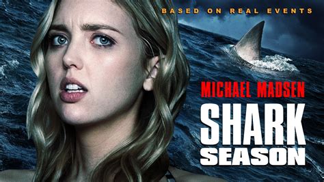 Shark Season (2020) - Backdrops — The Movie Database (TMDb)