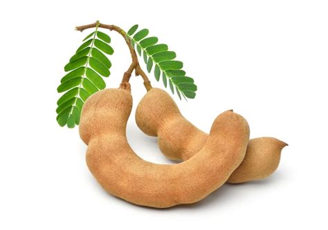 Tamarind Fruit Images - Free Download on Freepik