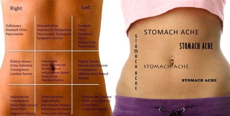 Diagram Of Female Anatomy Stomach Area