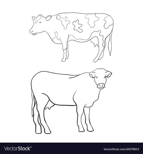 Line art animal cow Royalty Free Vector Image - VectorStock