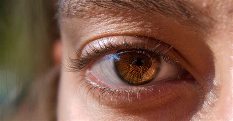 Hypertensive Retinopathy: Symptoms, Causes, and Treatments