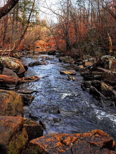 Duke Forest – Teaching and Research Laboratory