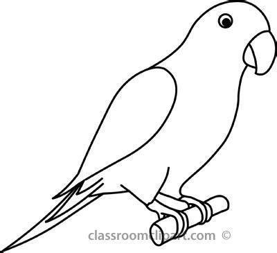 Outline drawings, Bird outline, Parrot drawing