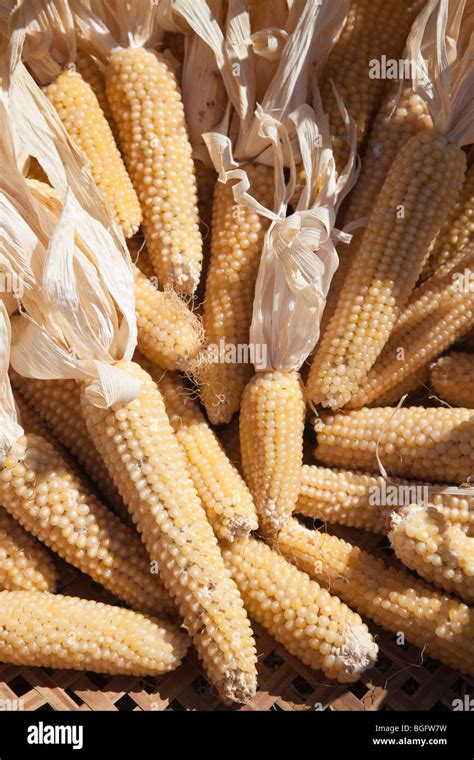 Popcorn for seeds Stock Photo - Alamy