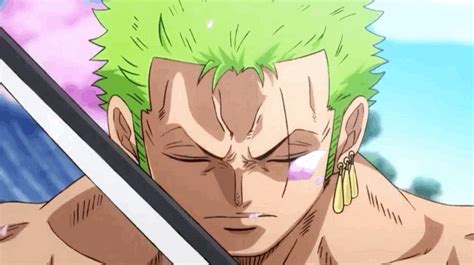 View 18 Zoro Wano Arc Gif - bestrawasuay