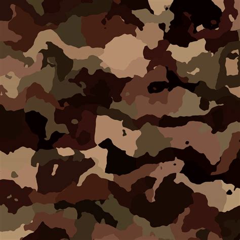 Camouflage (3) Free Stock Photo - Public Domain Pictures