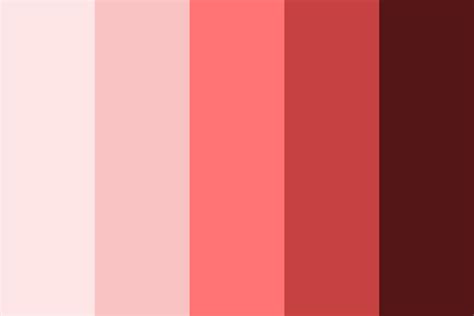 Color Palette Themes