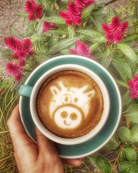 Happy cow Coffee Shop Aesthetic, Happy Cow, Cafe, Coffee Shop Design, Latte Art, Coffee Art ...