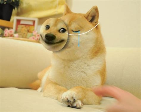 Doge smile mask Blank Template - Imgflip