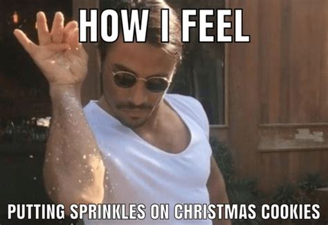 How I Feel, Putting Sprinkles on Christmas Cookies. | Christmas memes ...