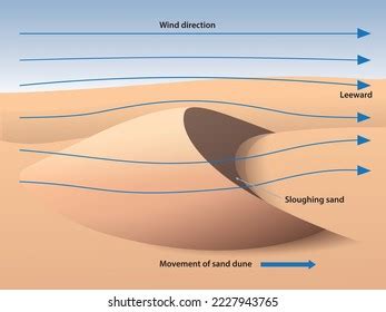 10,462 Barchan Dunes Images, Stock Photos & Vectors | Shutterstock