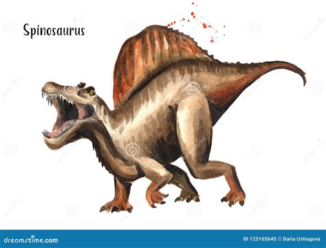 Spinosaurus Dinosaur. Watercolor Hand Drawn Illustration, Isolated on ...