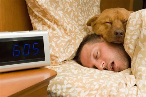 The Benefits of Sleeping with Your Human From Your Dog or Cat's Point of View - The Ranch Pet Resort