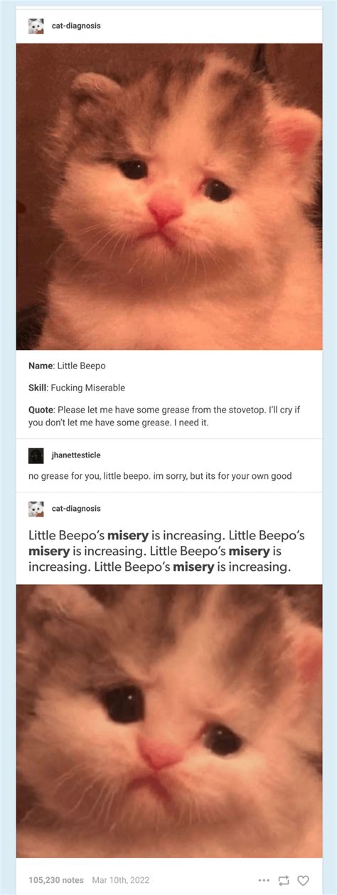 Why do you deny Little Beepo? : r/CuratedTumblr