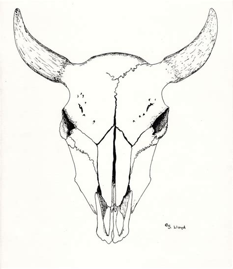 Buffalo Head Drawing at GetDrawings | Free download