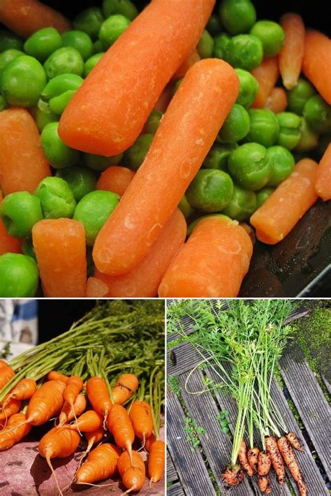 how to cook fresh baby carrots Baby Carrots, Gluten Free Vegetarian ...