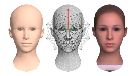 Golden Ratio Face Template Transparent Female : The face is not a morph, although it contains ...