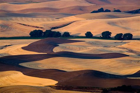 Anders Vinberg photography - The Palouse, spring and harvest time