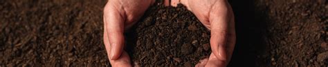 What is rich soil and how to make it - New-Nutri