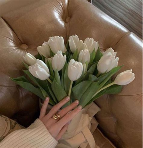 Hoa Tulip trắng đẹp nhất 2022, giá hoa Tulip, giao hàng hỏa tốc 24h