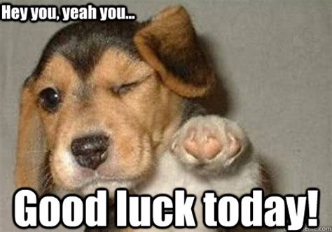 Good luck today! Hey you, yeah you... - winking pointing puppy - quickmeme