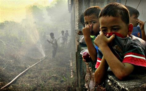 Bikin RI dan Malaysia Ribut, 5 Dampak Serius Ini Bakal Terjadi Akibat Kebakaran Hutan - Boombastis