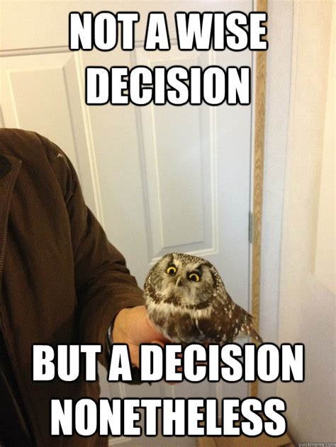 Owl get you - Vengeful Owl - quickmeme