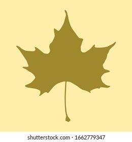 Sycamore Plane Leaf Silhouette Vector Image Stock Vector (Royalty Free) 1662779347 | Shutterstock