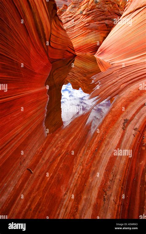 the wave, coyote buttes, arizona Stock Photo - Alamy