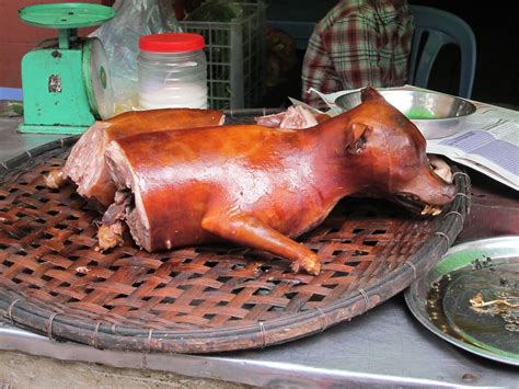 Hanoi Roast Dog | It's what Vietnam's cooking aka ”河内考狗“ | after_alex ...