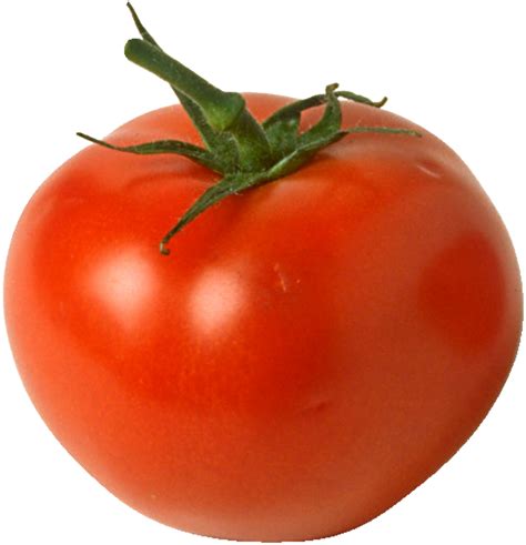 Tomato Free Png Image Transparent HQ PNG Download | FreePNGimg