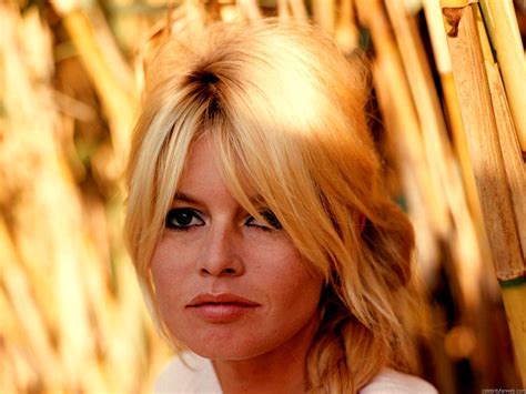 76+ Brigitte Bardot Wallpaper - WallpaperSafari - EroFound