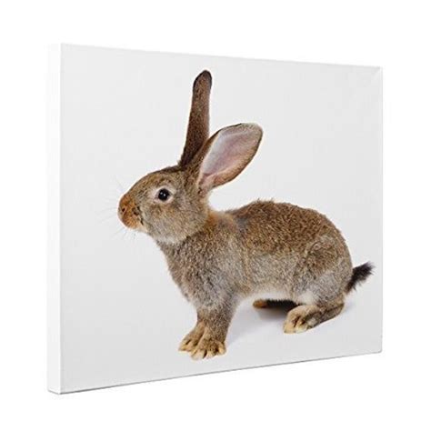 Rabbit CANVAS Wall Art Nursery Décor by pblast in 2020 | Nursery wall art, Nursery art, Canvas ...