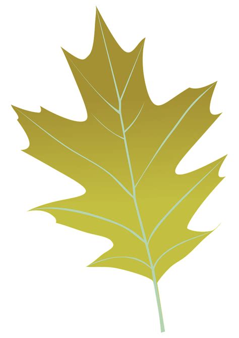 Download Autumn Leaf Leaf Green Leaf Royalty-Free Stock Illustration Image - Pixabay