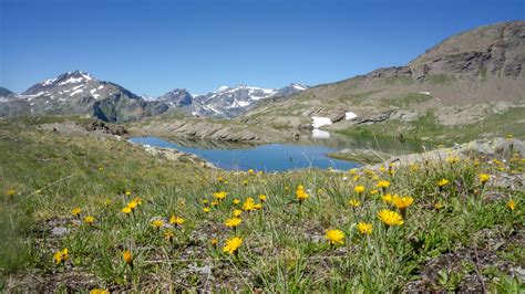 Big Hiking Tour of Gran Paradiso -6 Days Hike -Trekking Alps