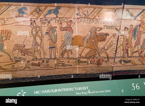 Reading museum bayeux tapestry hi-res stock photography and images - Alamy