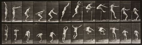 Eadweard Muybridge: Animal Locomotion | International Photography Magazine