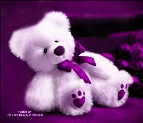 a white teddy bear wearing a purple bow