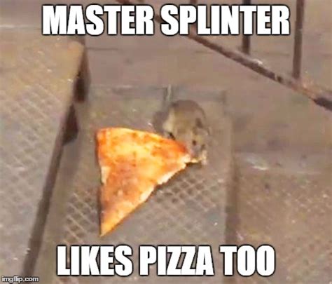 pizza rat - Imgflip