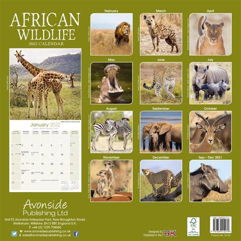 African Wildlife Calendar | Animal Calendars | Pet Prints Inc