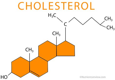 Fat Protein Carb's: Cholesterol - Vital Substance